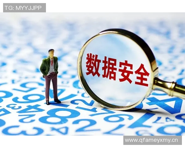 信息安全时代的挑战与应对策略：保护数据隐私与网络安全的全方位解析